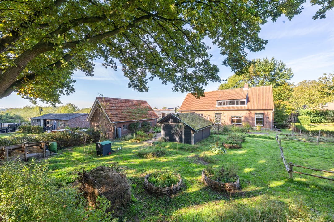 Foto 2 van Haneman 3