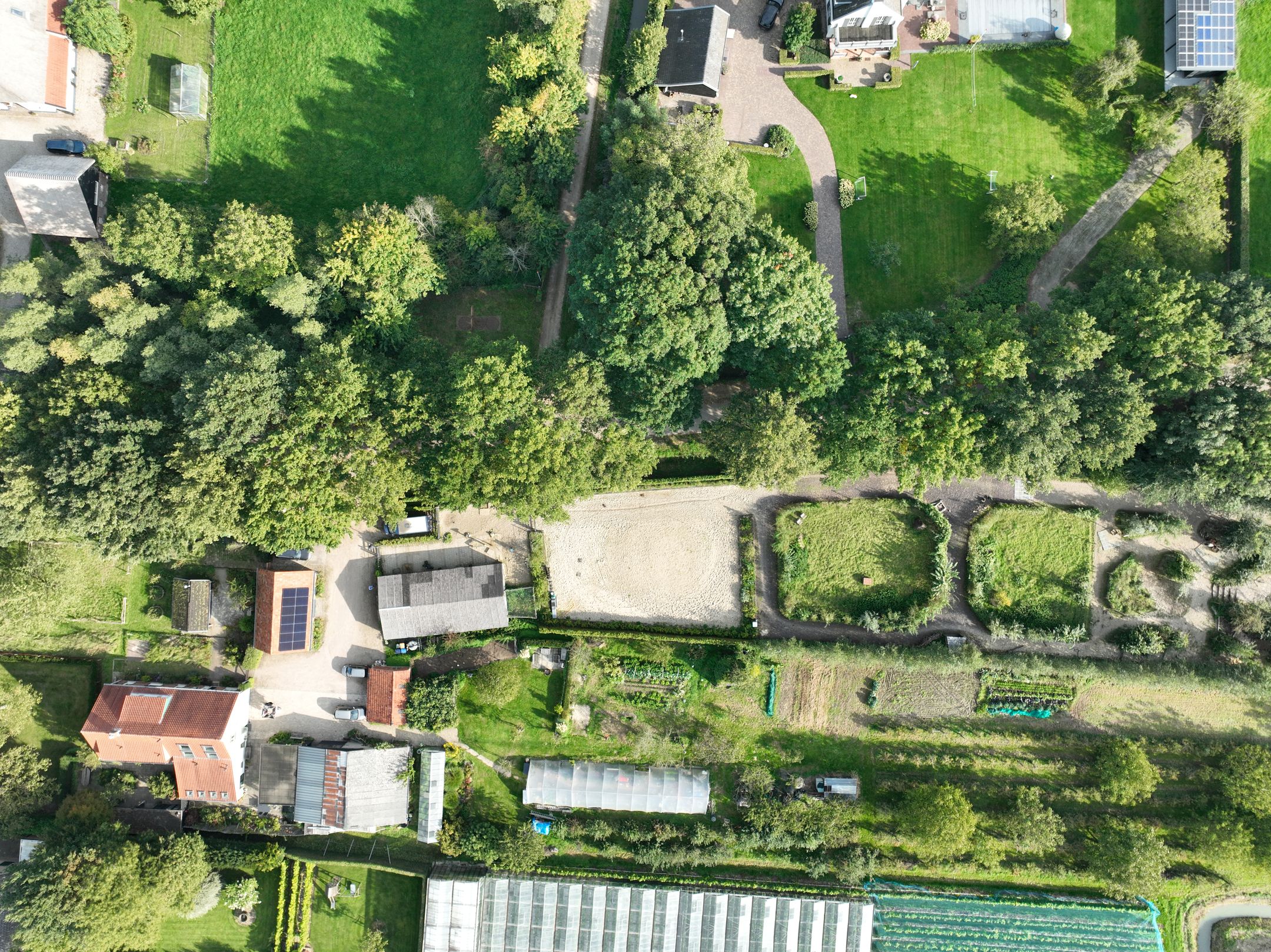 Foto 3 van Haneman 3