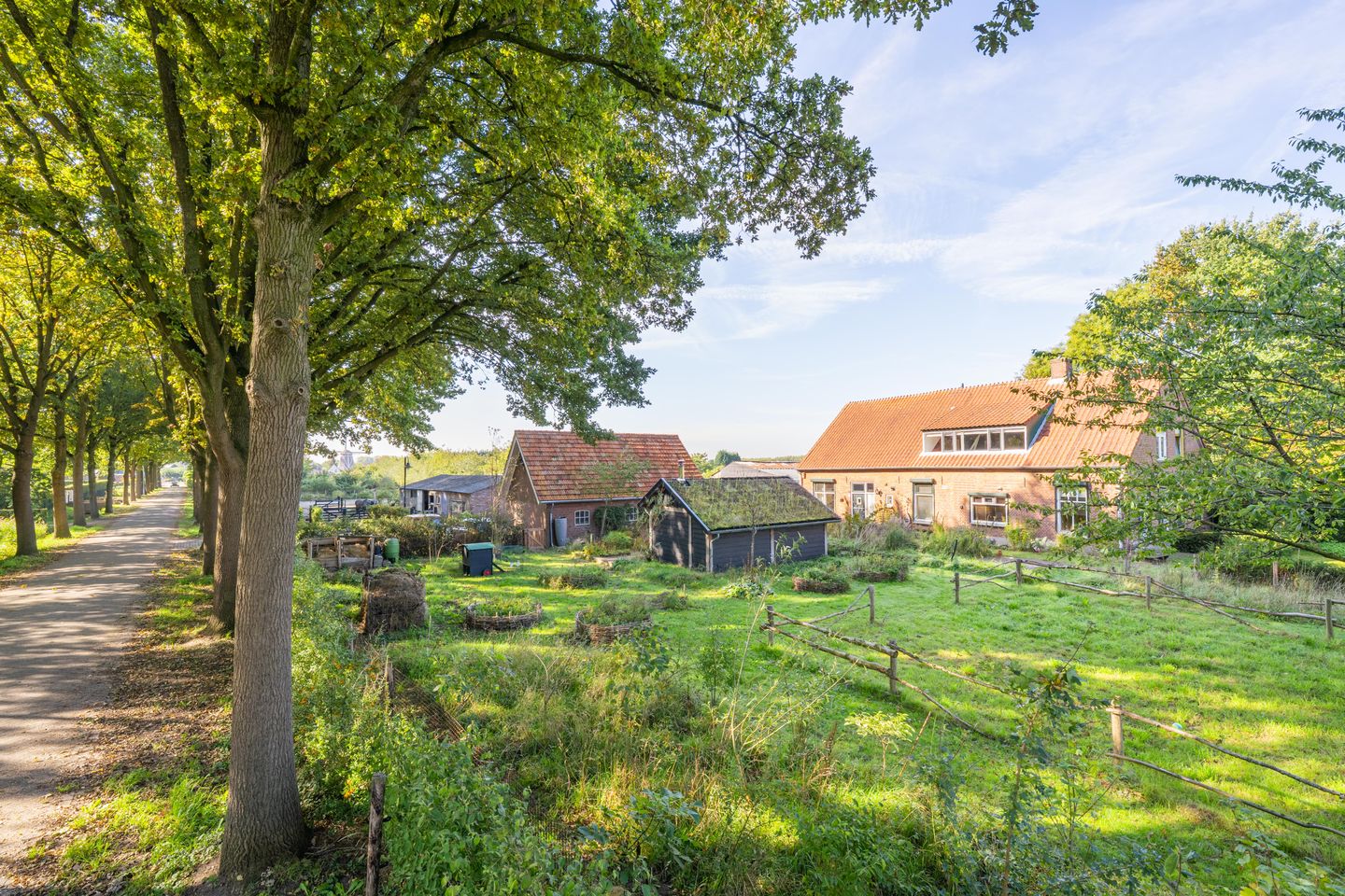 Foto 5 van Haneman 3