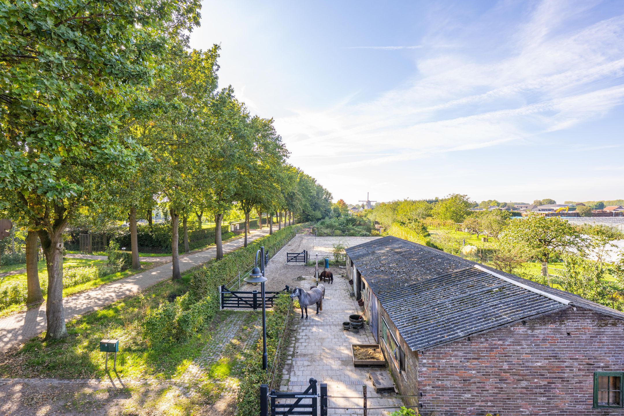 Foto 6 van Haneman 3