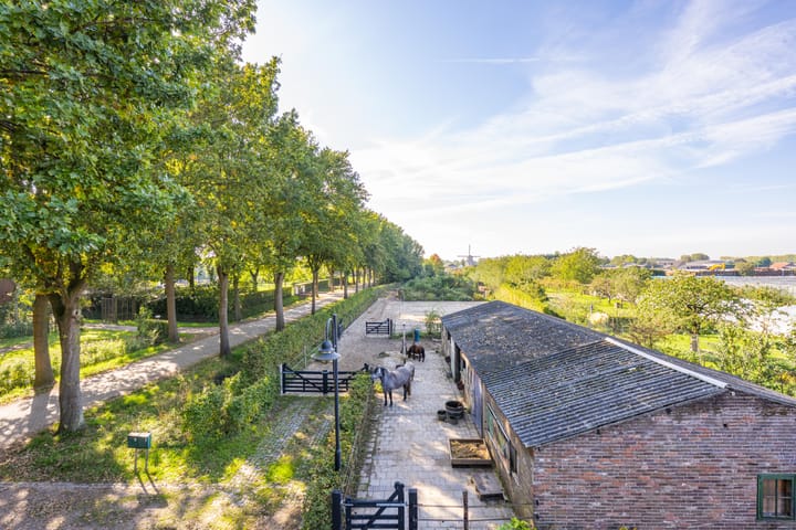 Foto 6 van Haneman 3