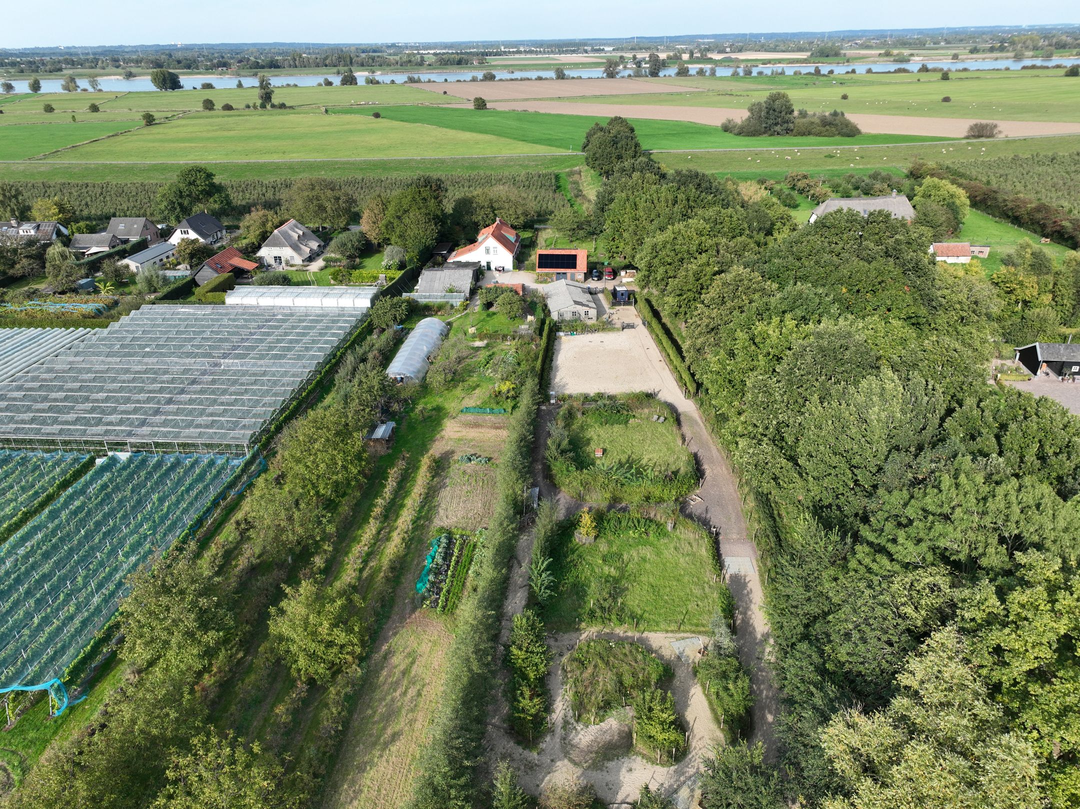 Foto 9 van Haneman 3