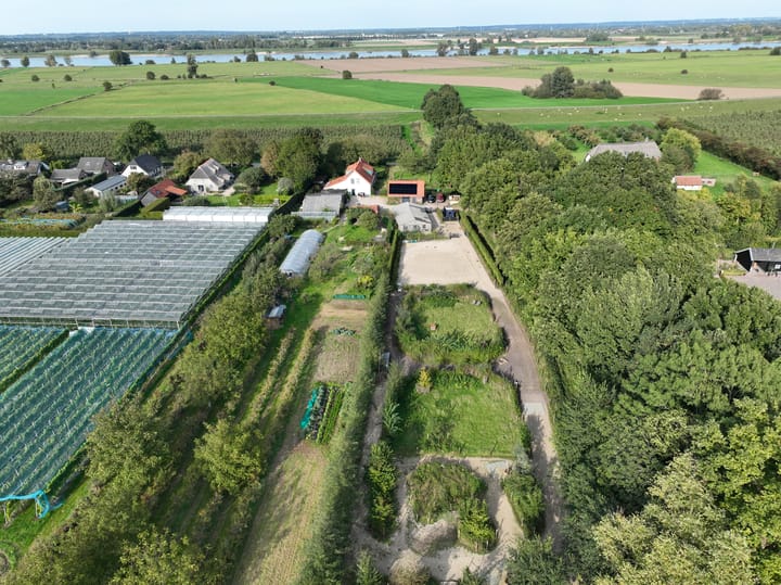 Foto 9 van Haneman 3