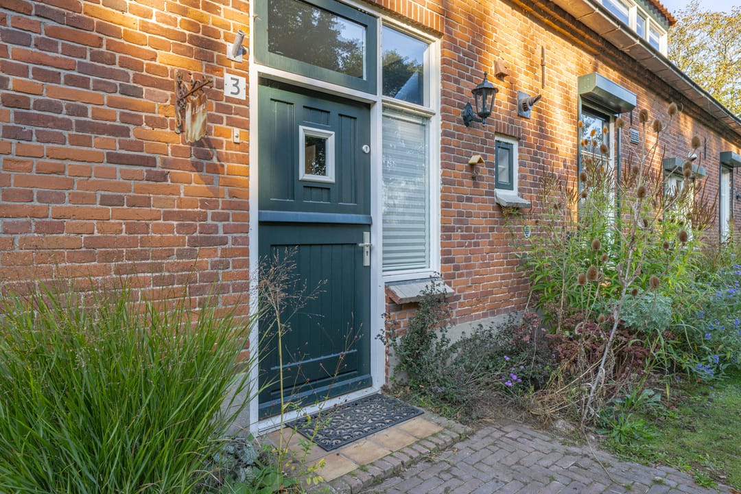 Foto 11 van Haneman 3