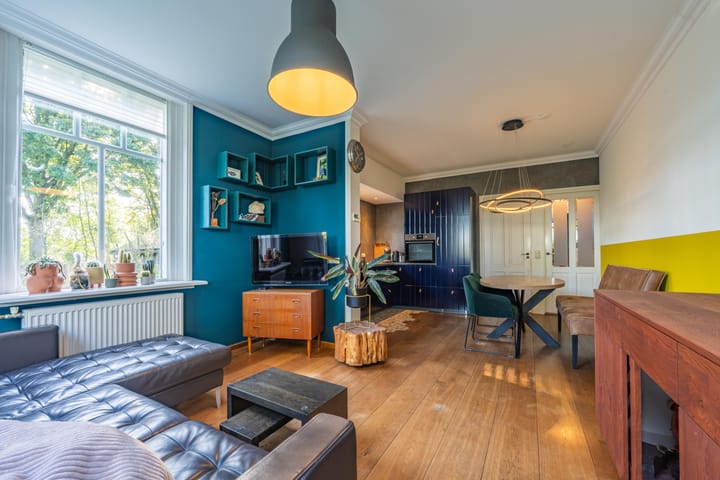 Foto 12 van Haneman 3