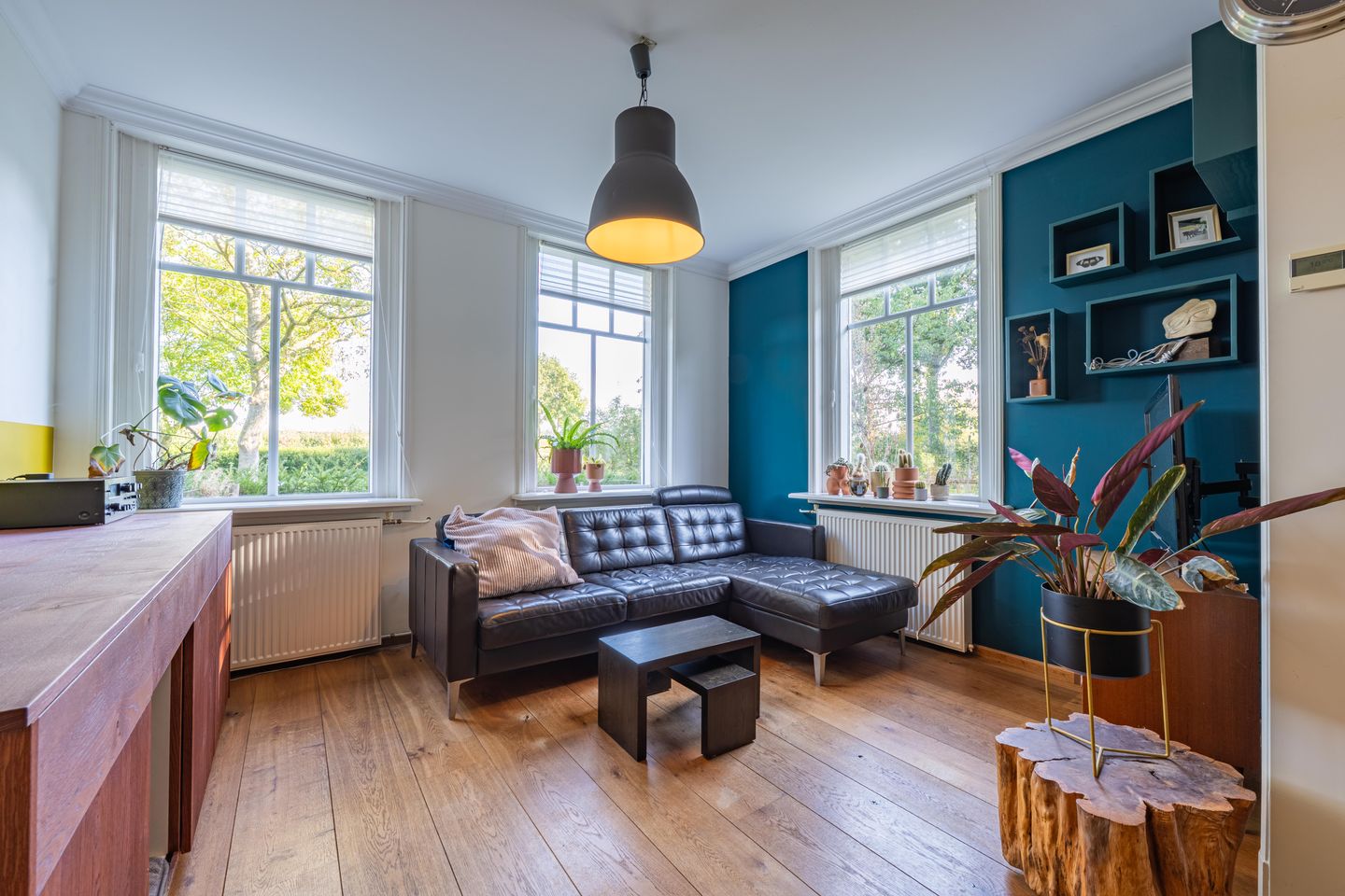 Foto 14 van Haneman 3