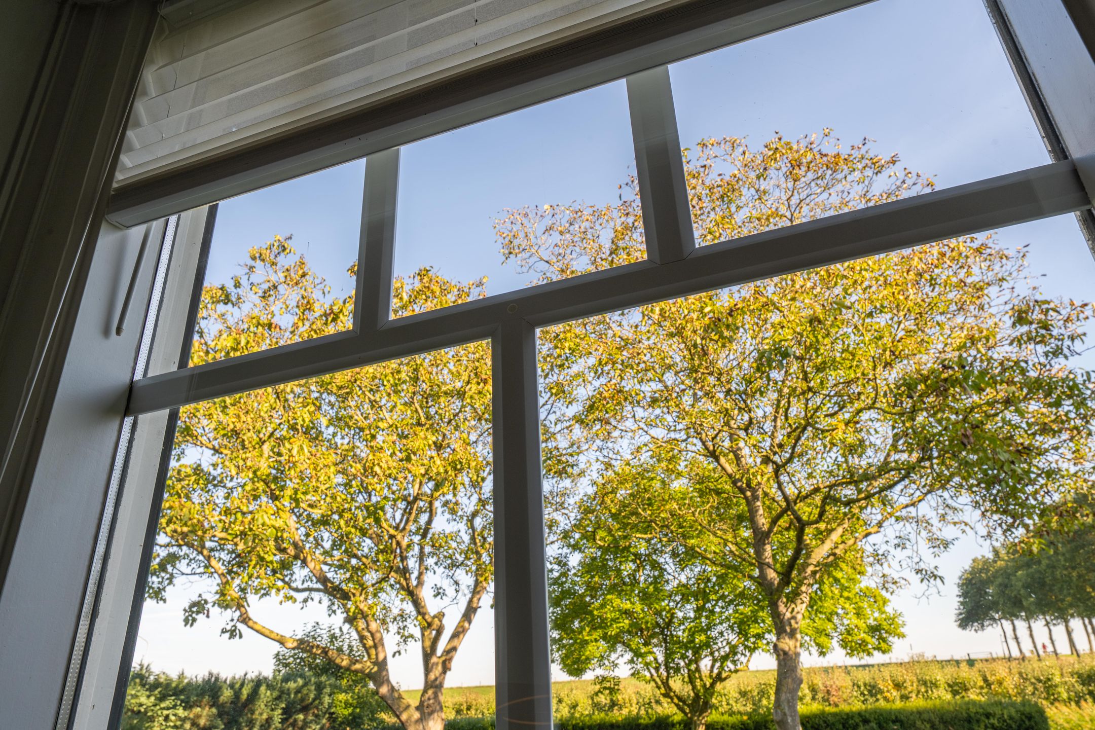 Foto 18 van Haneman 3