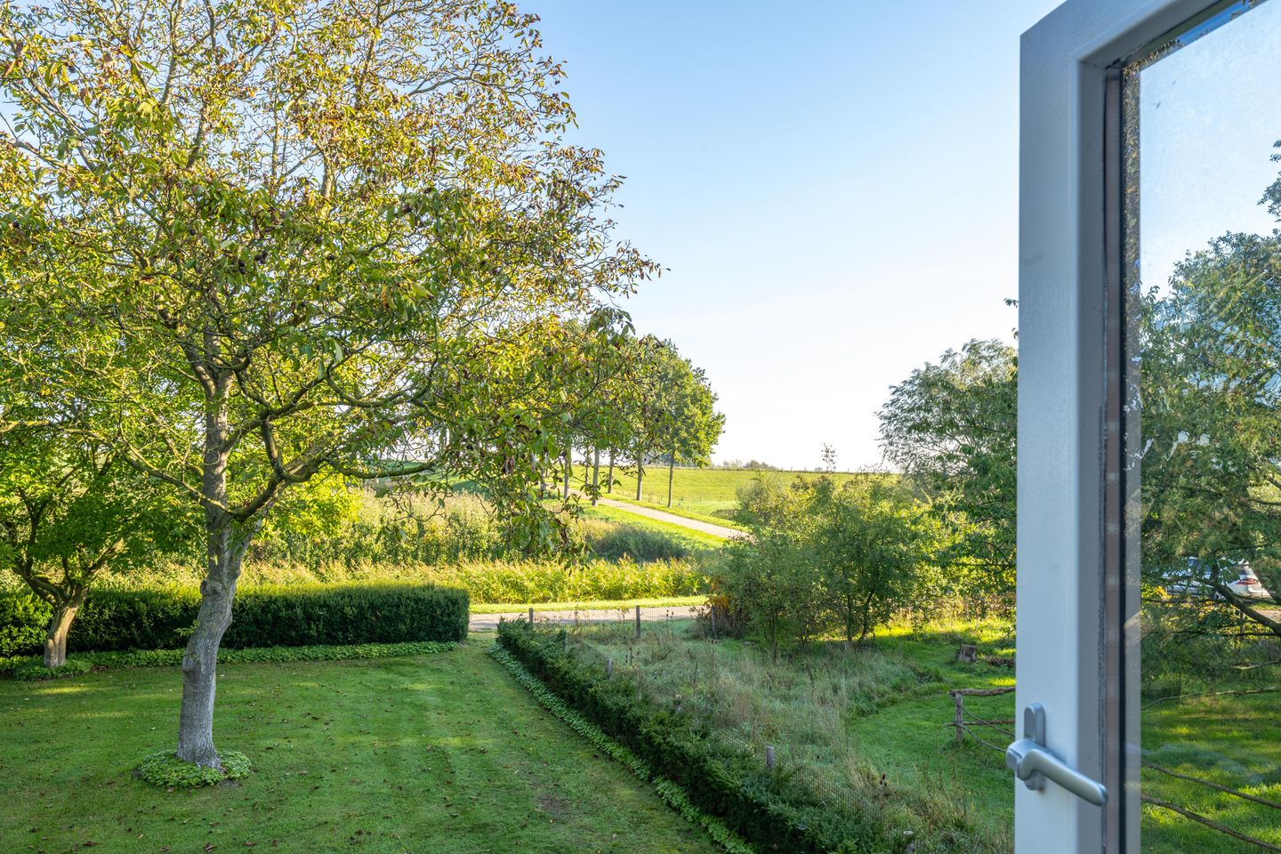 Foto 40 van Haneman 3