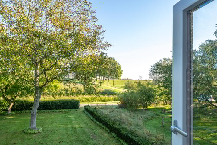 Foto 40 van Haneman 3