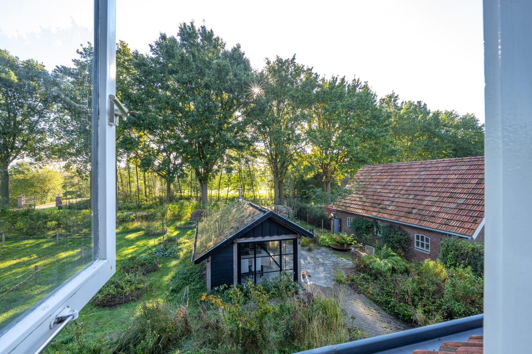 Foto 41 van Haneman 3