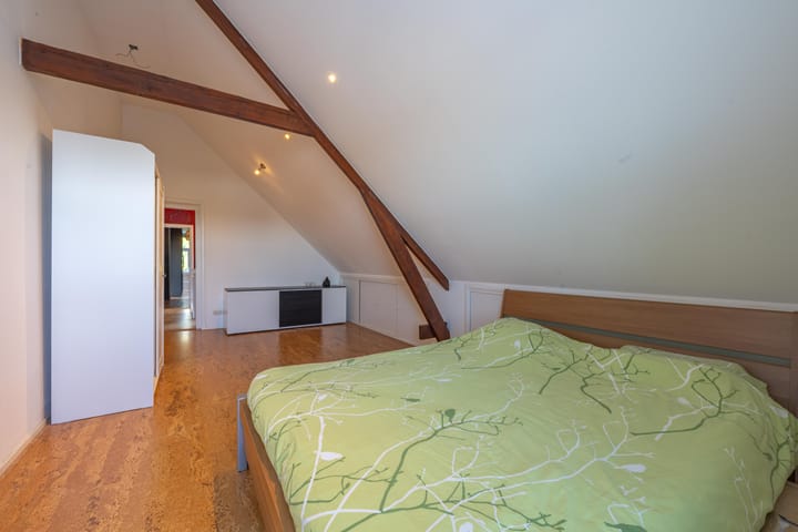 Foto 45 van Haneman 3