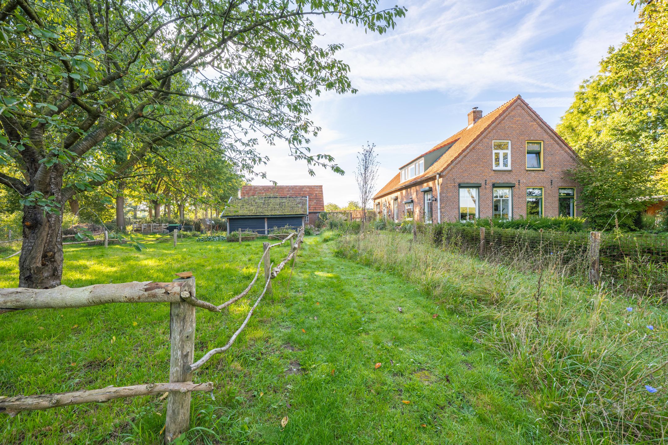 Foto 54 van Haneman 3