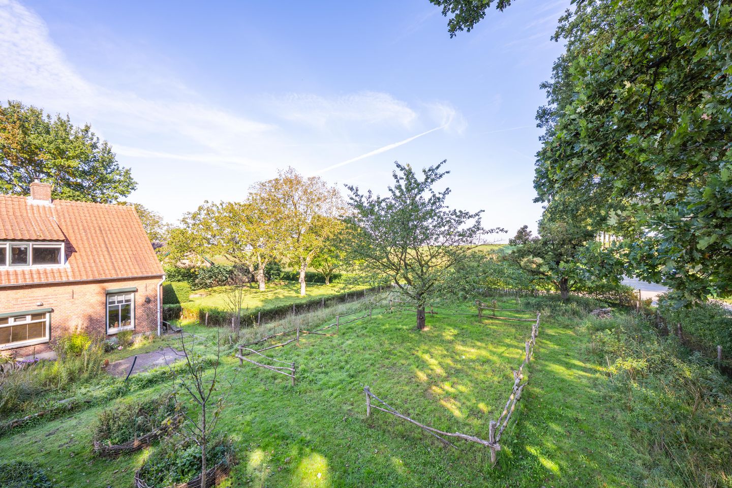 Foto 55 van Haneman 3