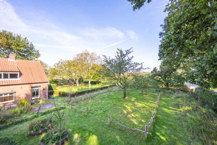 Foto 55 van Haneman 3