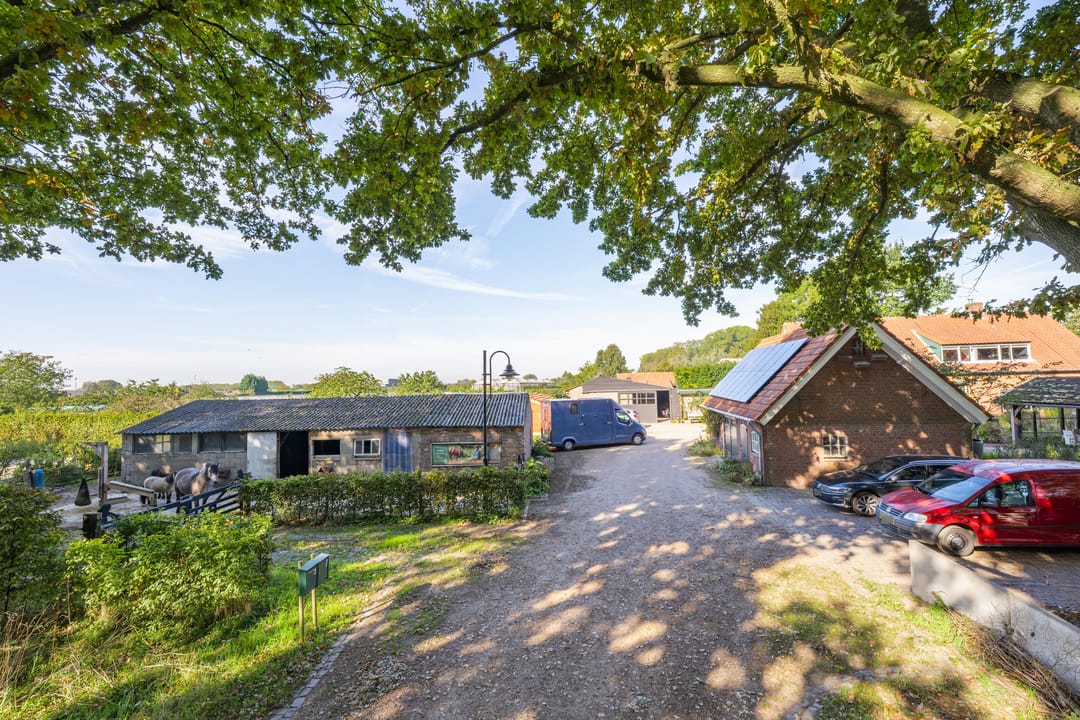 Foto 58 van Haneman 3