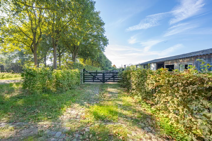 Foto 60 van Haneman 3