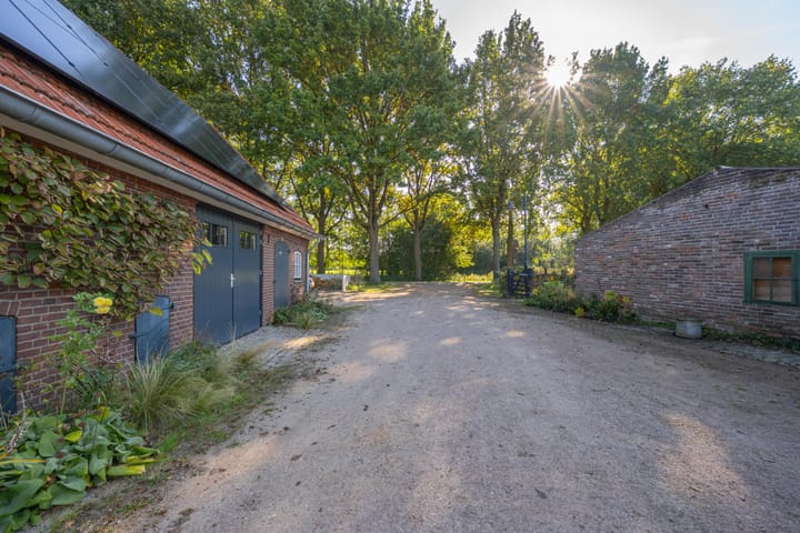 Foto 63 van Haneman 3