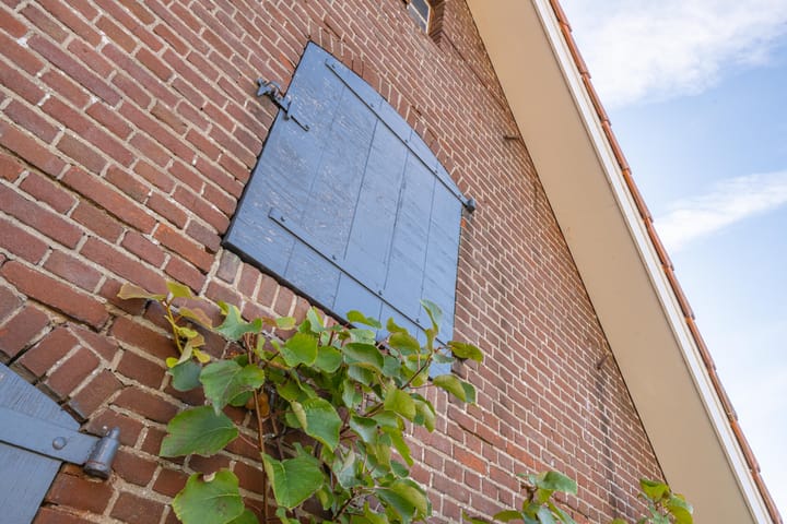 Foto 64 van Haneman 3