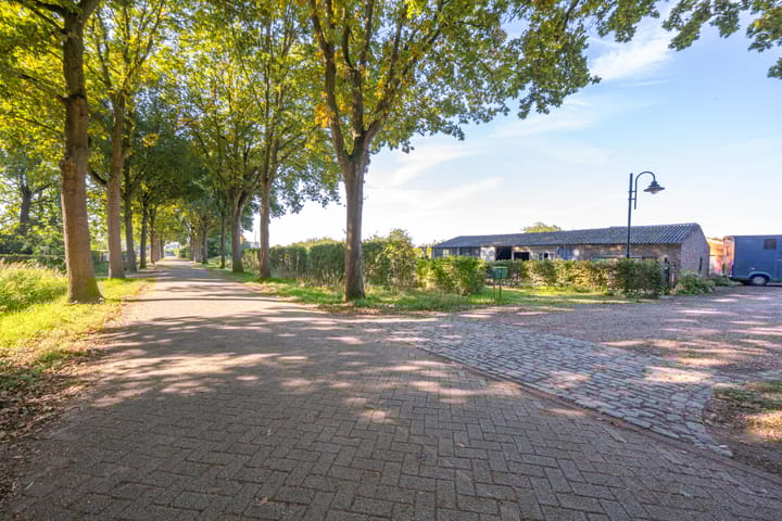 Foto 69 van Haneman 3