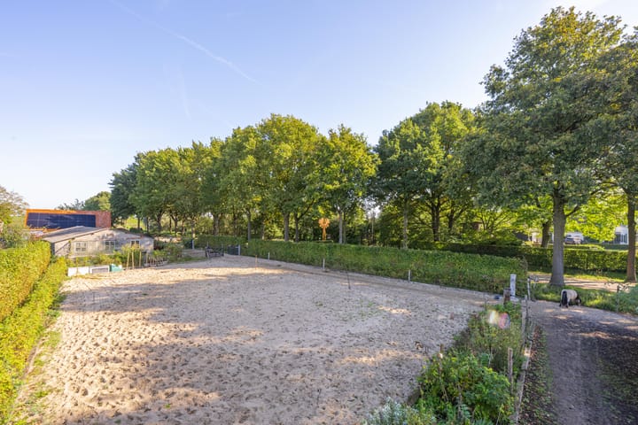 Foto 70 van Haneman 3