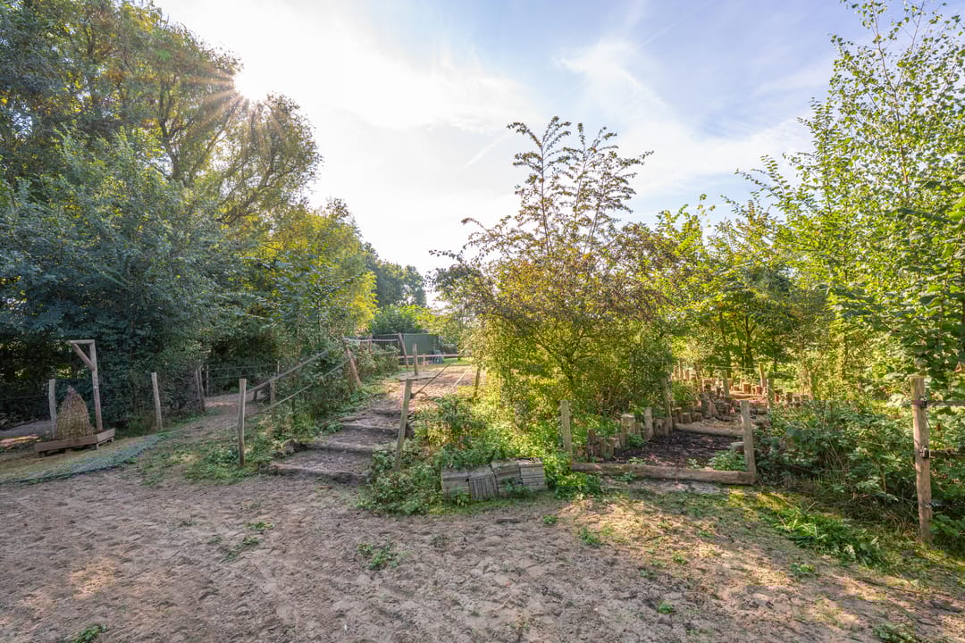 Foto 73 van Haneman 3