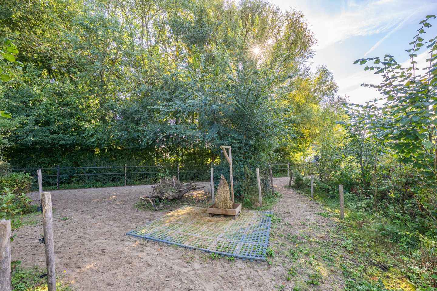 Foto 74 van Haneman 3