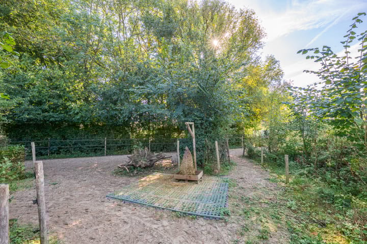 Foto 74 van Haneman 3