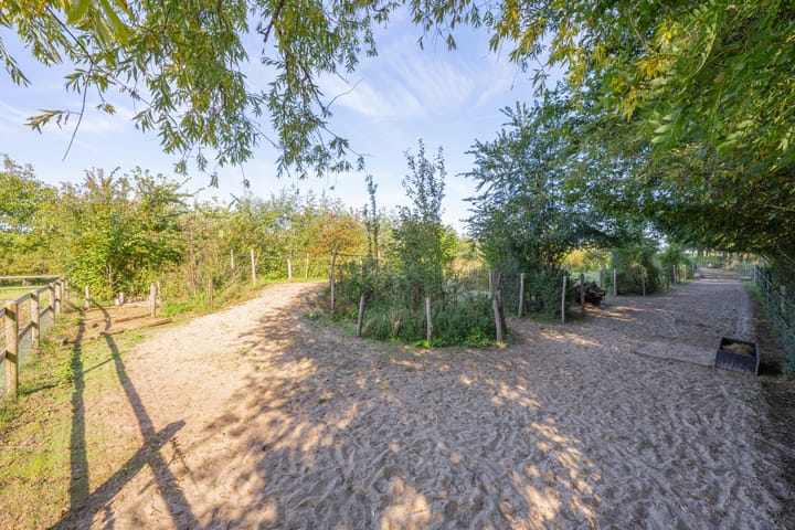 Foto 77 van Haneman 3