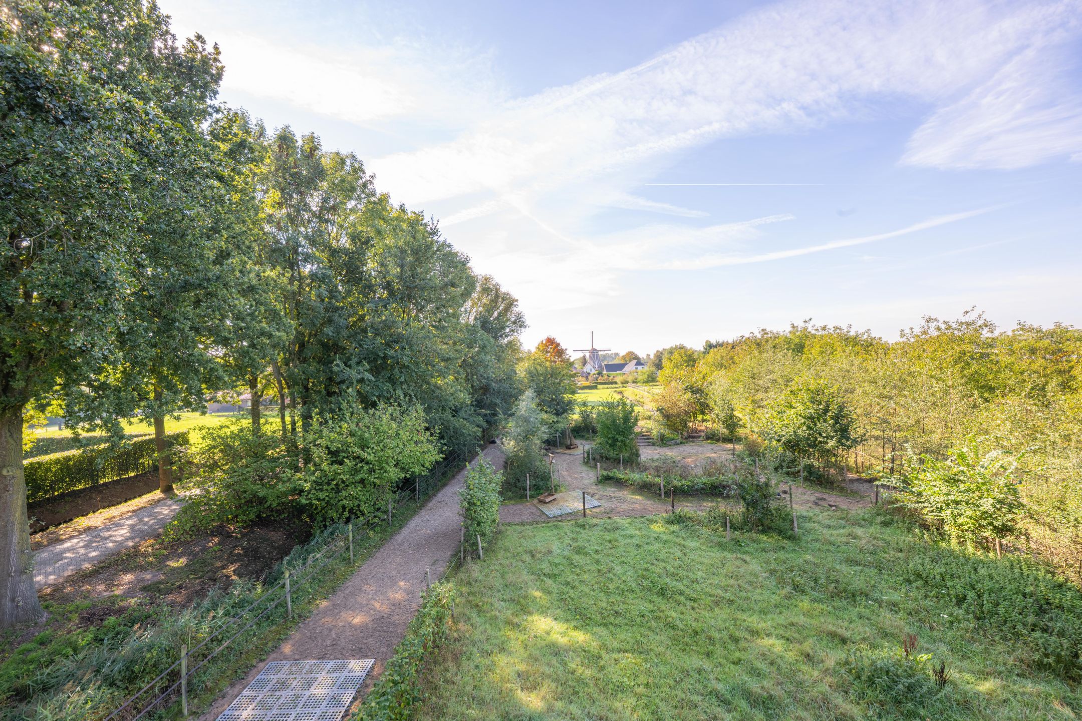 Foto 78 van Haneman 3