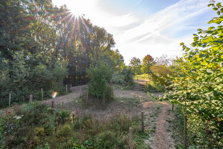 Foto 80 van Haneman 3