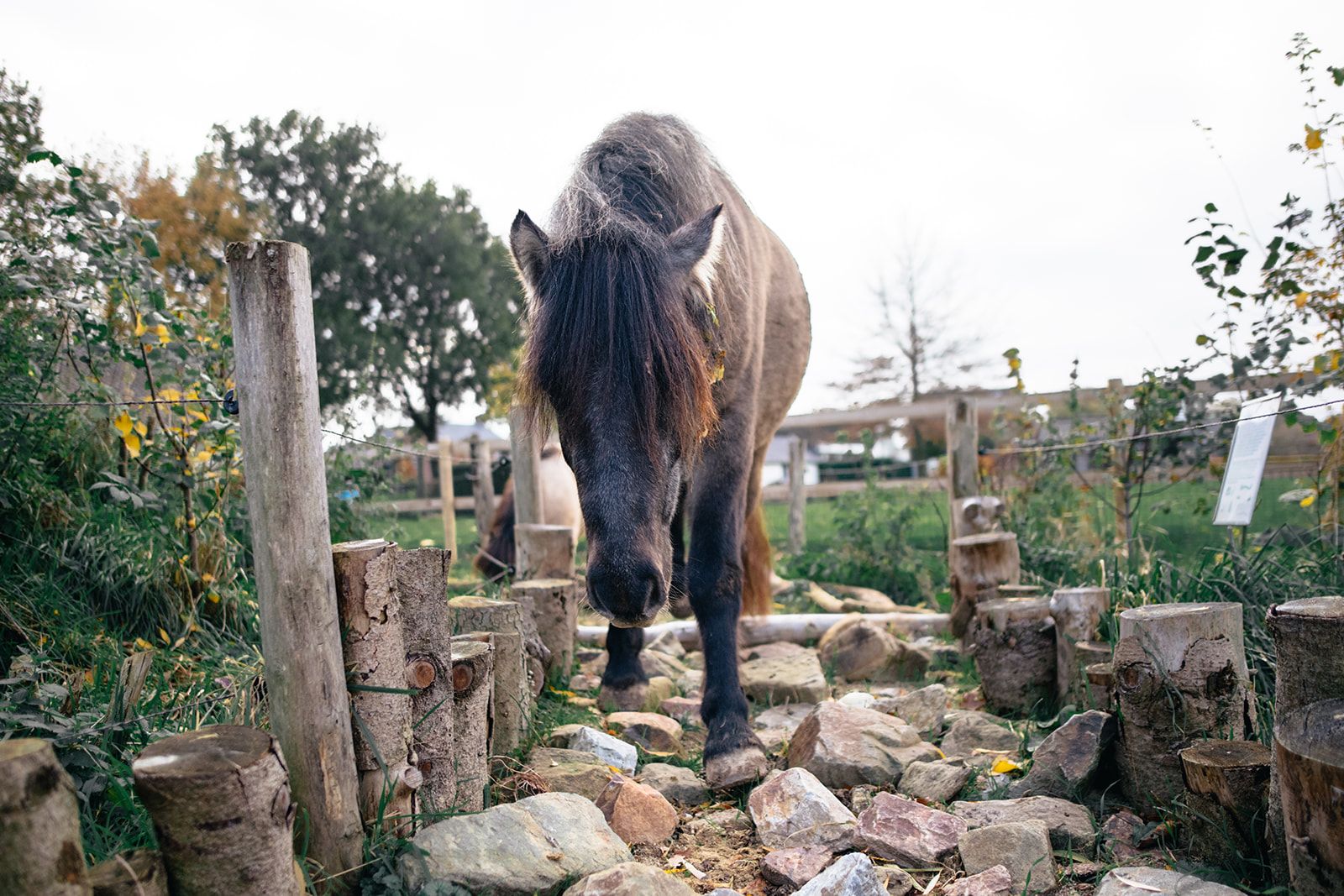 Foto 81 van Haneman 3