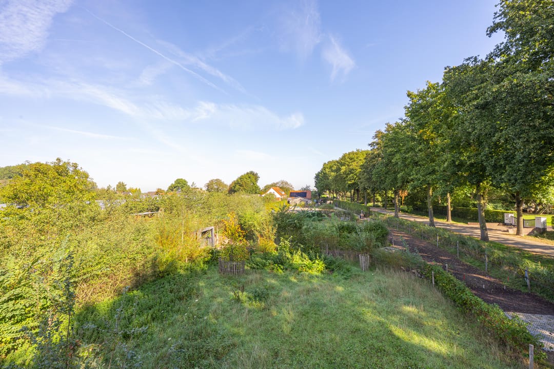 Foto 82 van Haneman 3