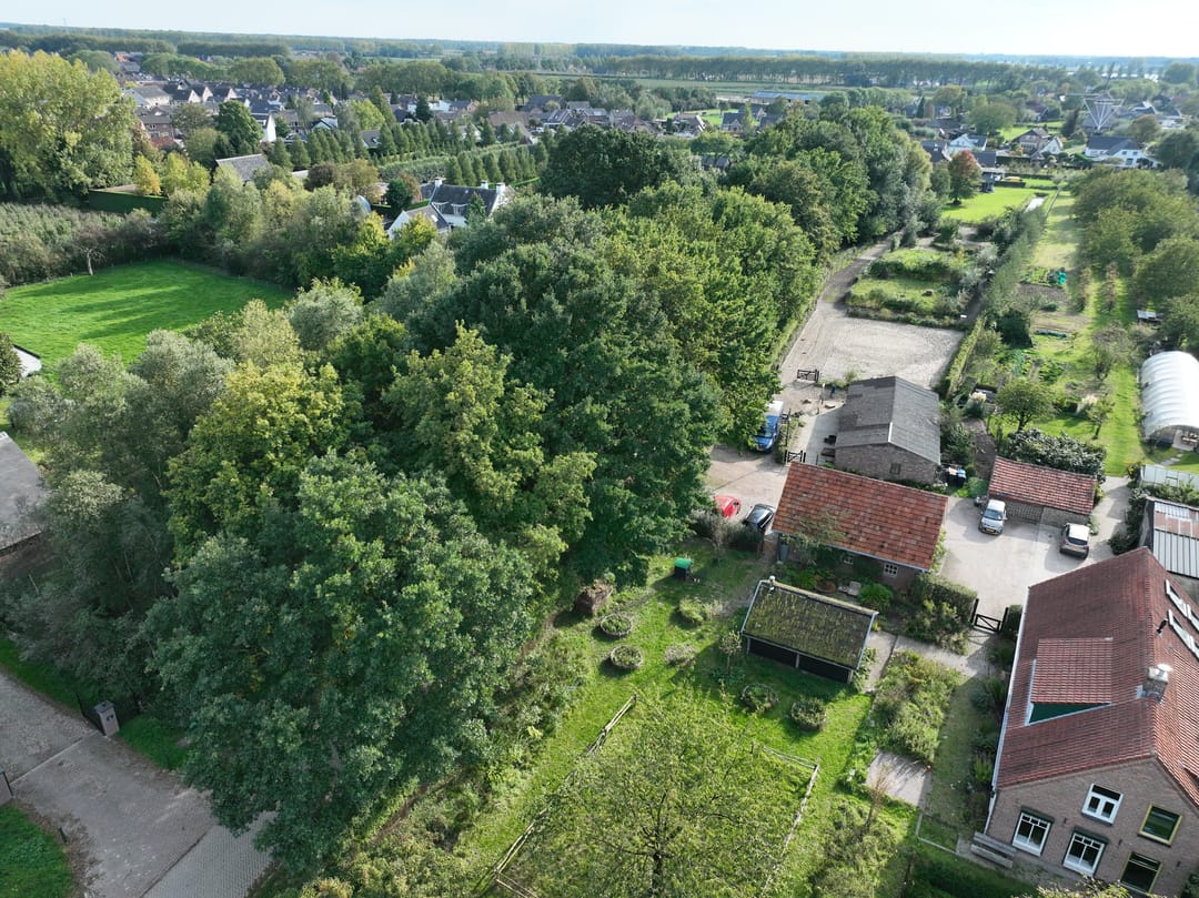 Foto 83 van Haneman 3