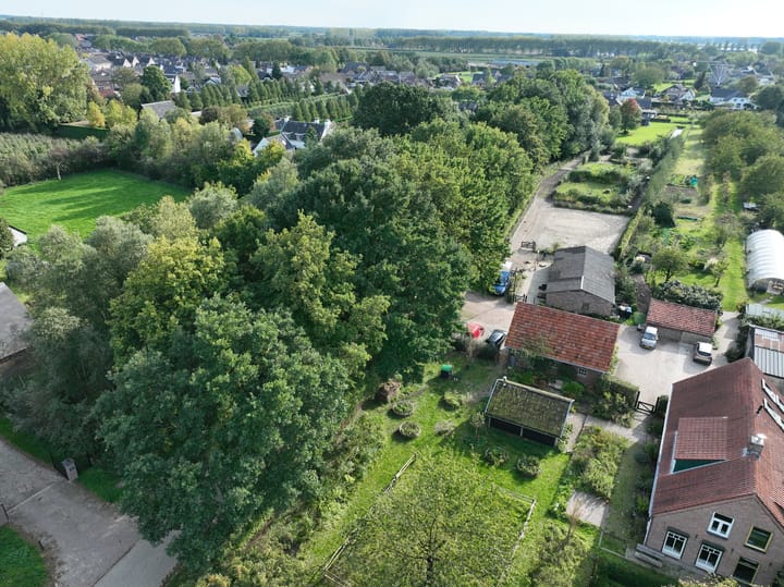 Foto 83 van Haneman 3