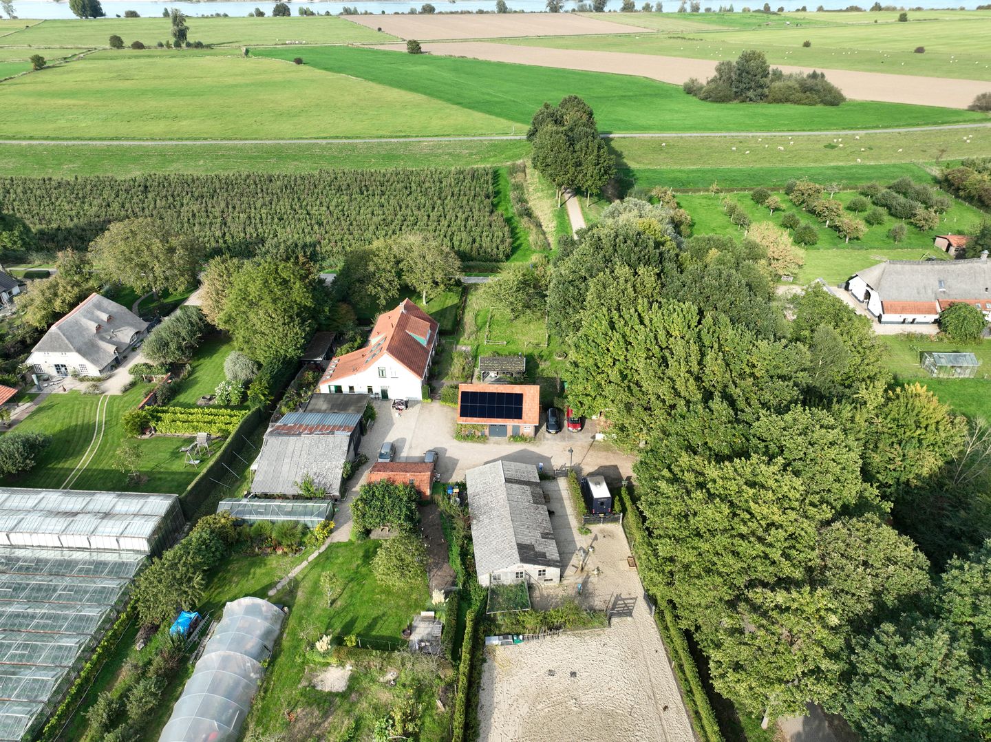 Foto 85 van Haneman 3