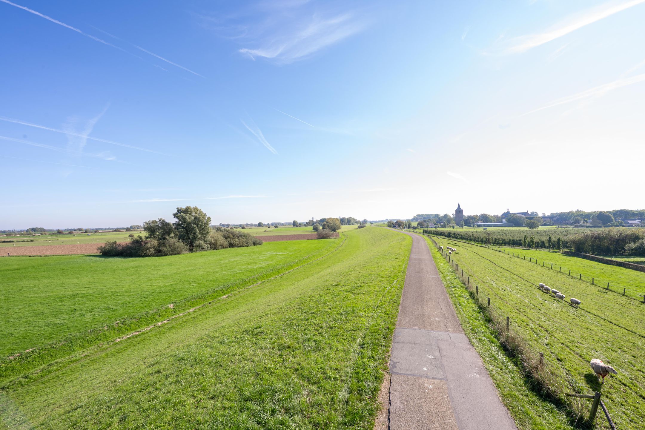 Foto 87 van Haneman 3