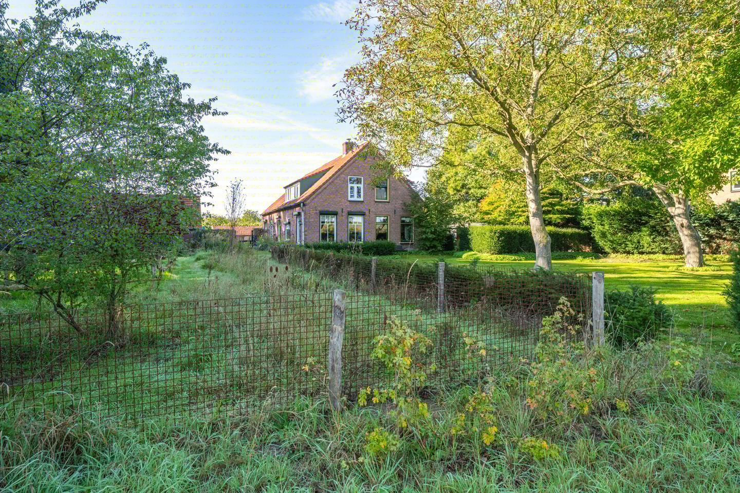 Foto 89 van Haneman 3