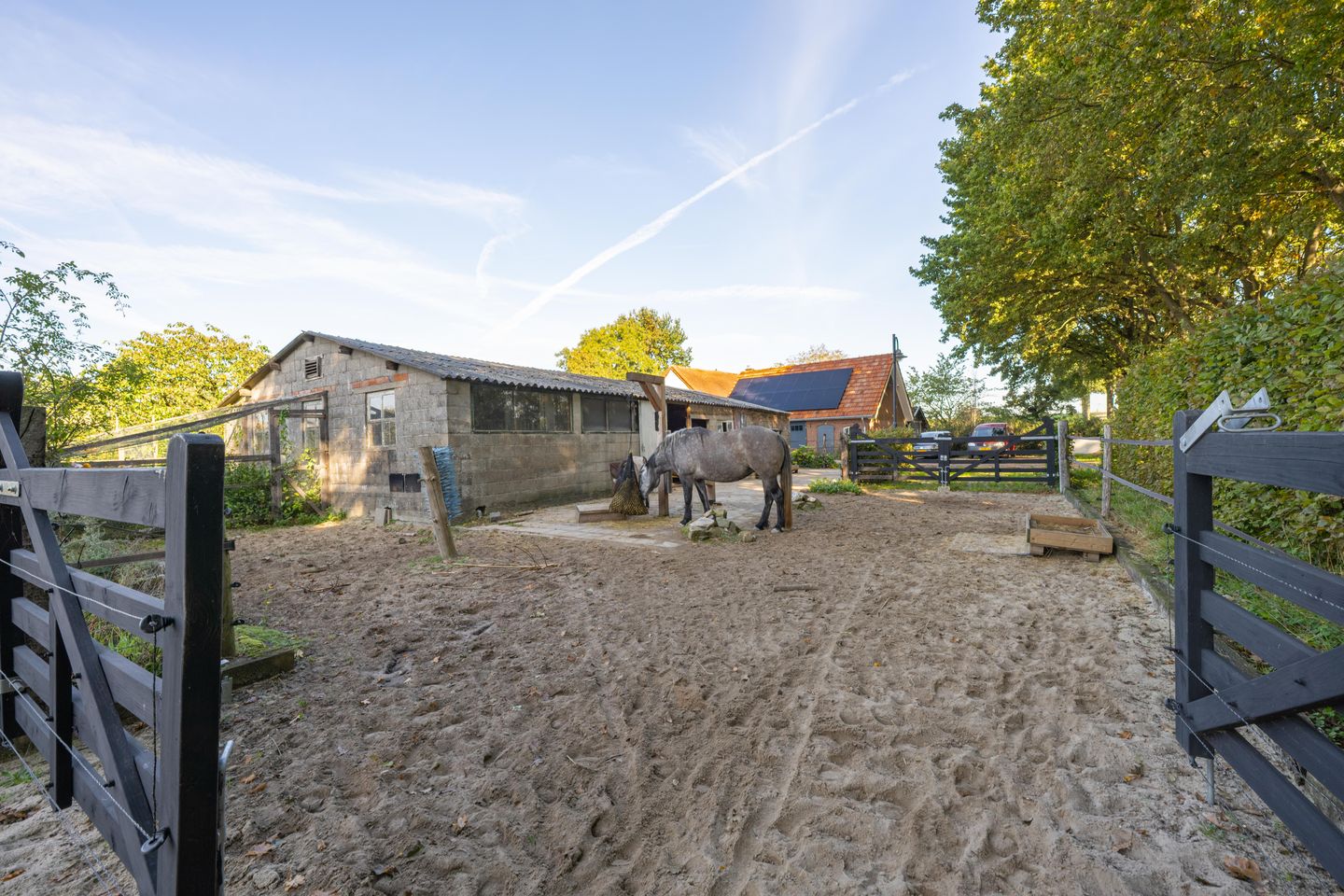 Foto 59 van Haneman 3