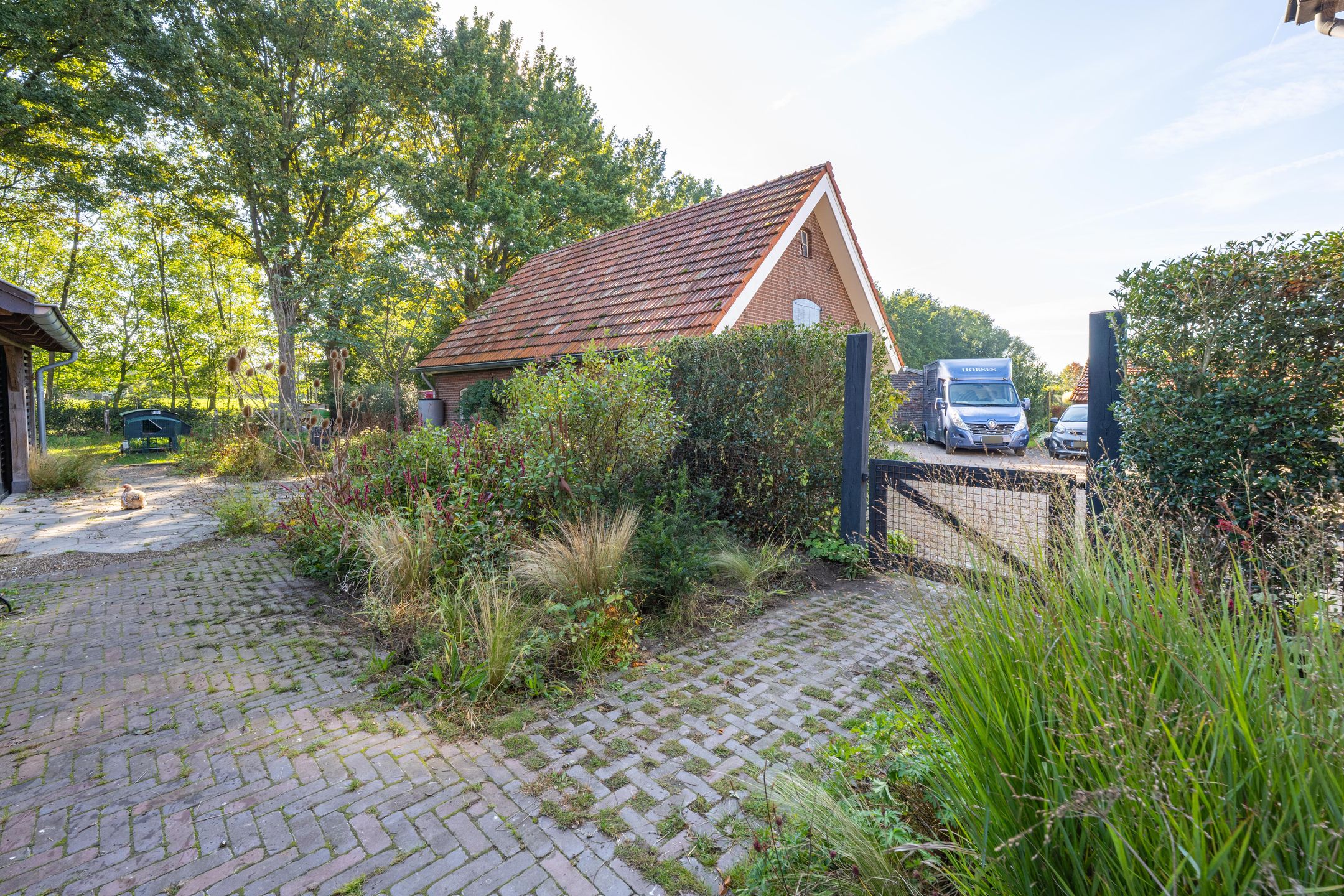 Foto 57 van Haneman 3