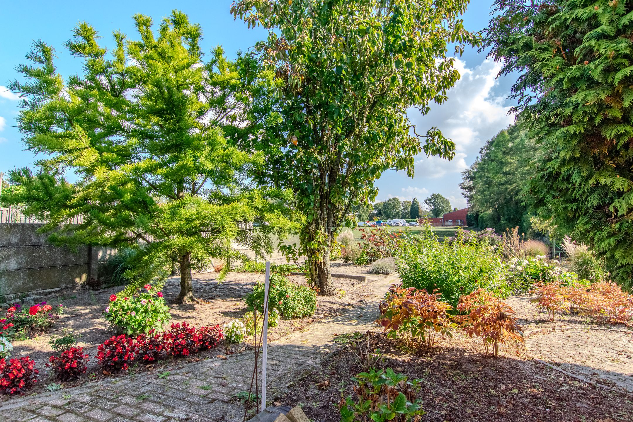 Foto 3 van Bevrijdingstraat 89