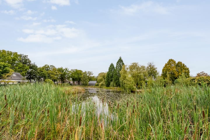 Photo 4 of Waanderskamp 7