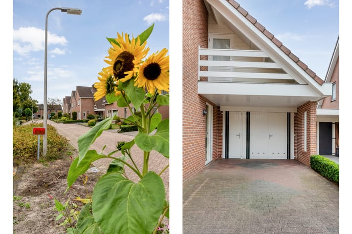 Photo 6 of Waanderskamp 7