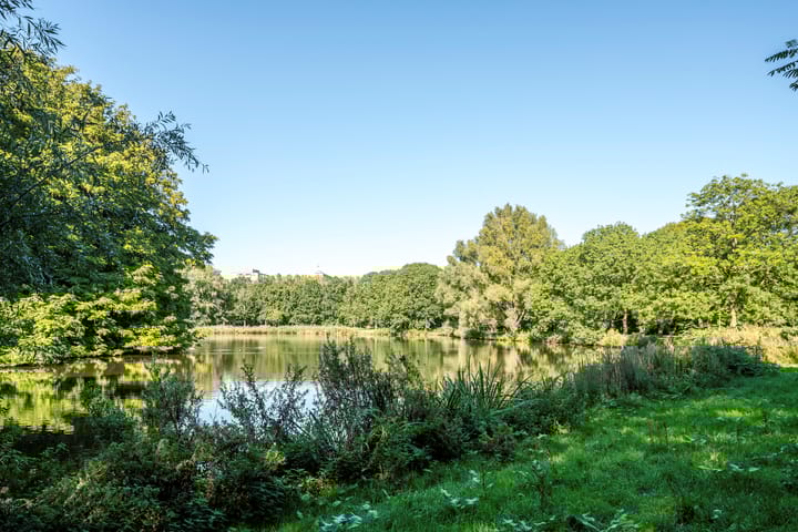 Foto 66 van Hoofdweg 54