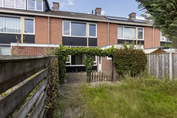 Foto 4 van Poolster 11