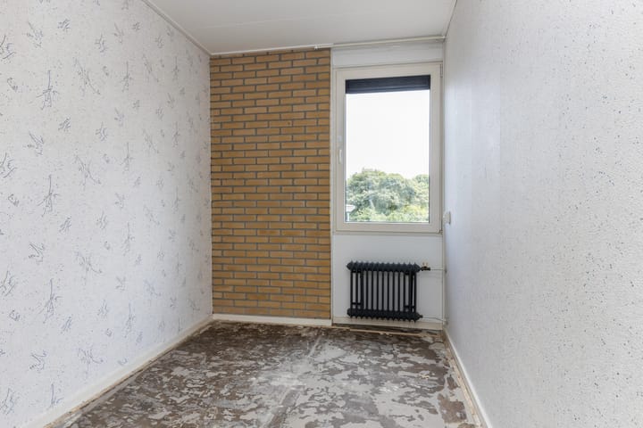 Foto 12 van Poolster 11