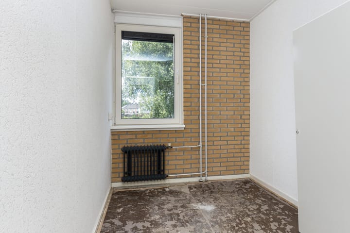 Foto 15 van Poolster 11