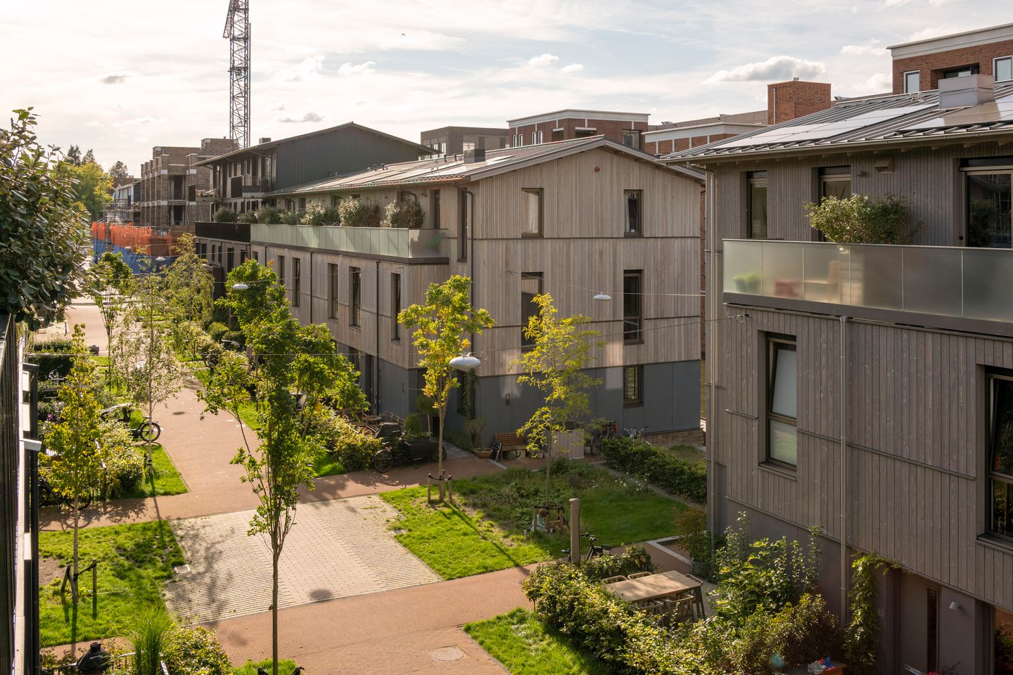 Foto 29 van Libau-eiland 80