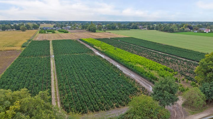 Foto 55 van Maalsteen 7