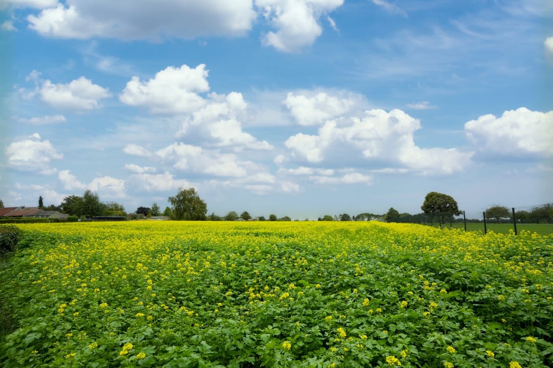 Foto 28 van Kruisstraat 5