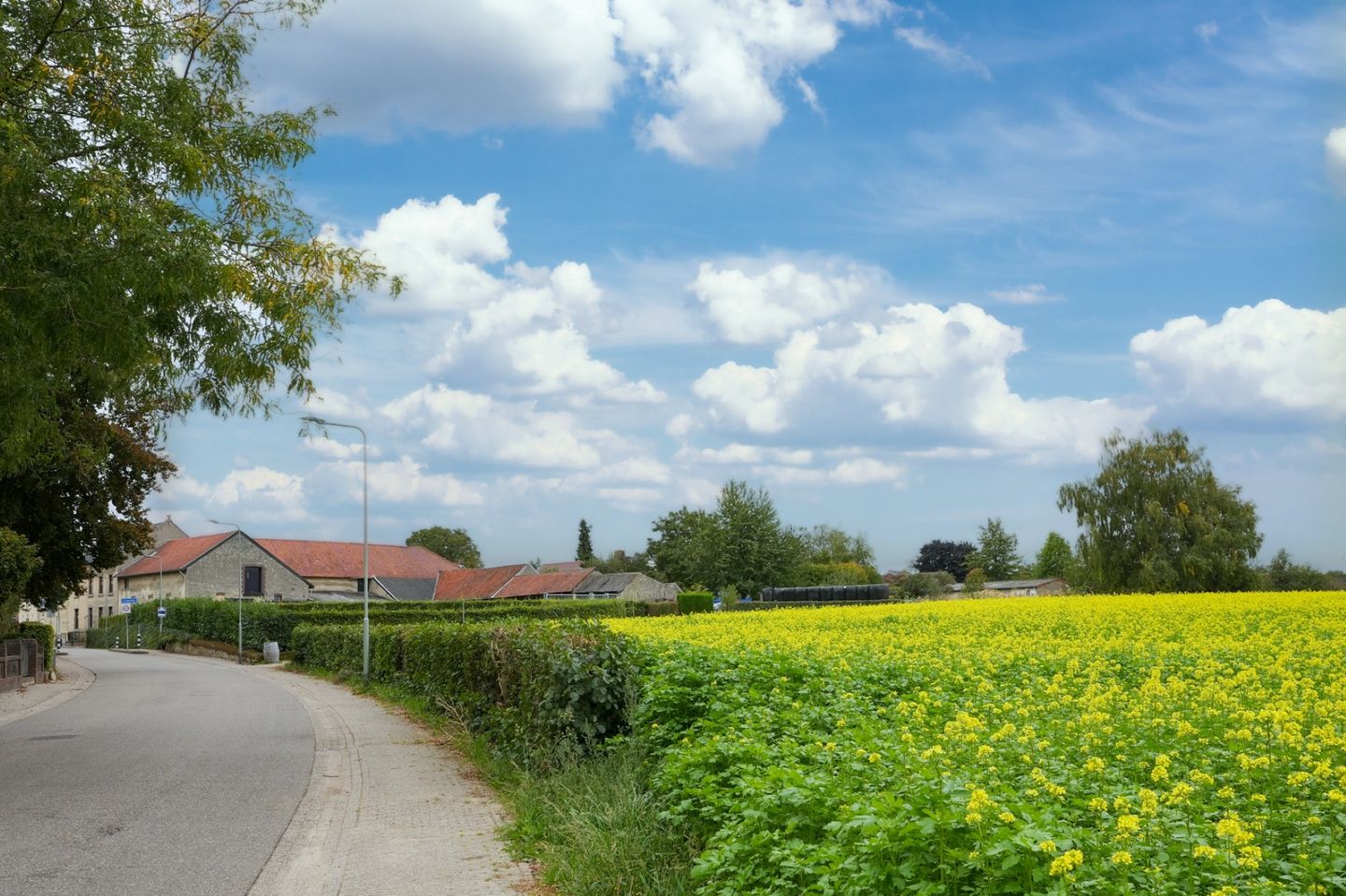 Foto 29 van Kruisstraat 5